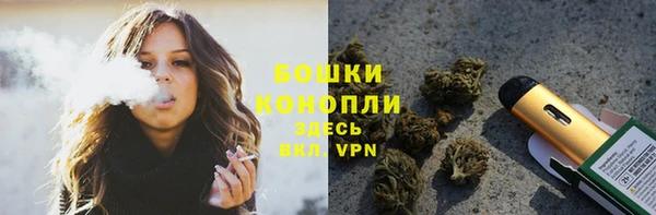 прущие грибы Белокуриха