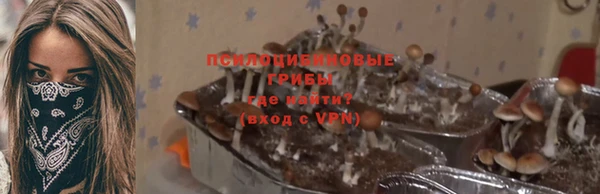 прущие грибы Белокуриха
