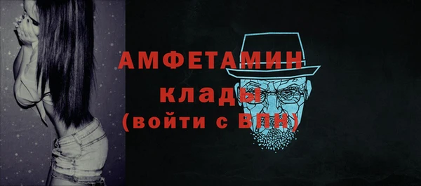 прущие грибы Белокуриха