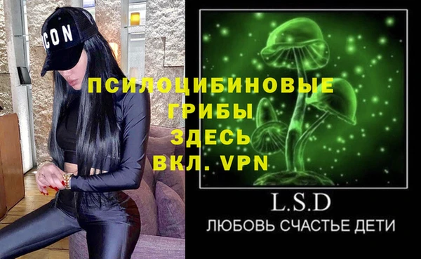 индика Сатка