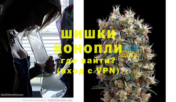 прущие грибы Белокуриха