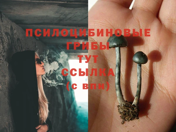 твердый Беломорск