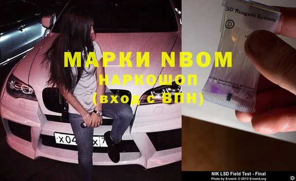 прущие грибы Белокуриха