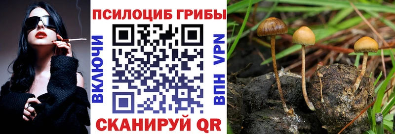 Галлюциногенные грибы прущие грибы Володарск