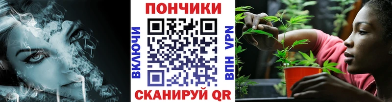 Конопля семена  купить  цена  OMG зеркало  Володарск 